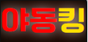 야동킹