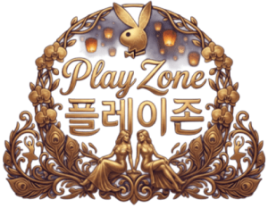 플레이존