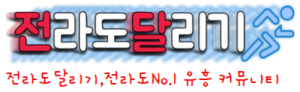 전라도달리기